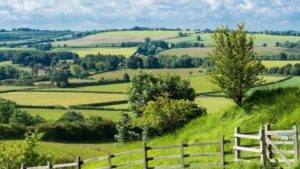 UK country side - greenery with wooden fencing