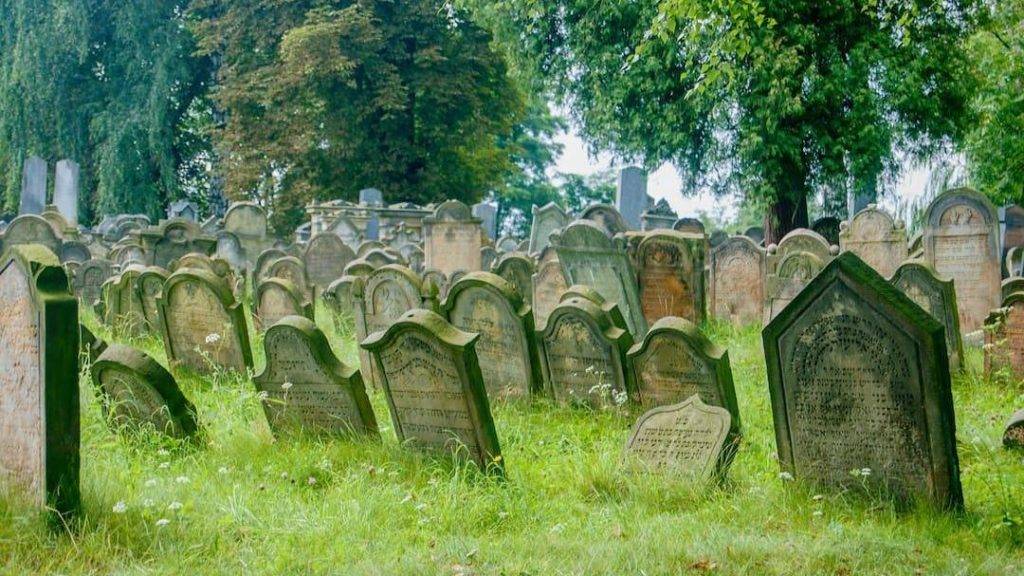 gravestones in a graveyard